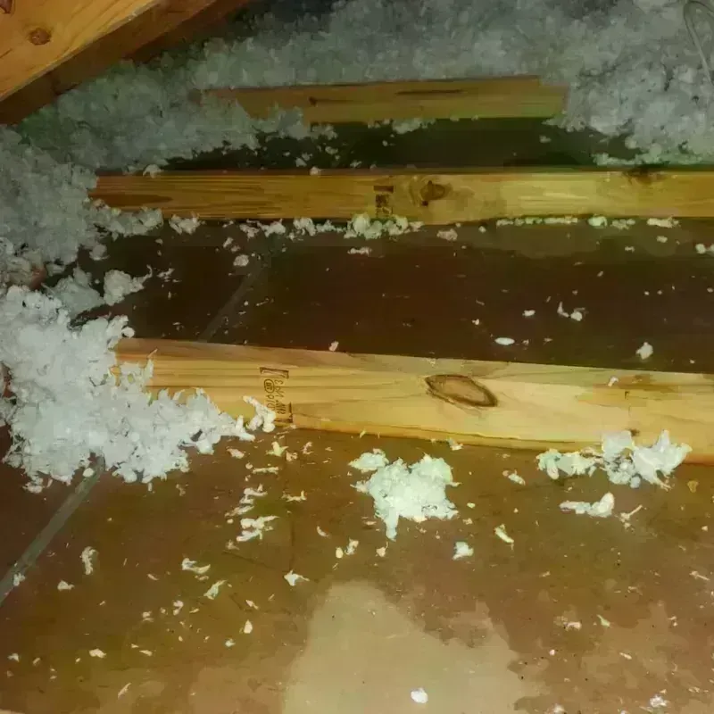 Attic Water Damage in Clay Center, NE